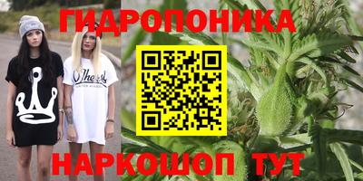 индика Изобильный