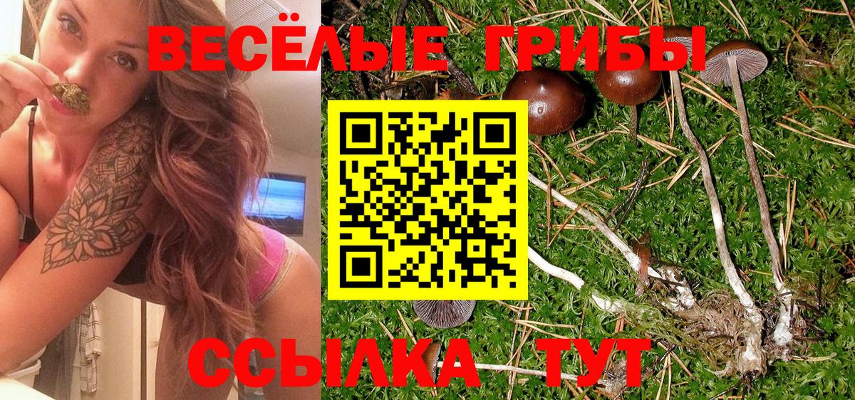 Псилоцибиновые грибы ЛСД Георгиевск