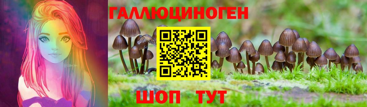 Псилоцибиновые грибы Cubensis  Галлюциногенные грибы Psilocybine cubensis  Вход с VPN  Георгиевск 